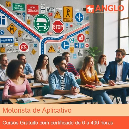 Motorista de Aplicativo